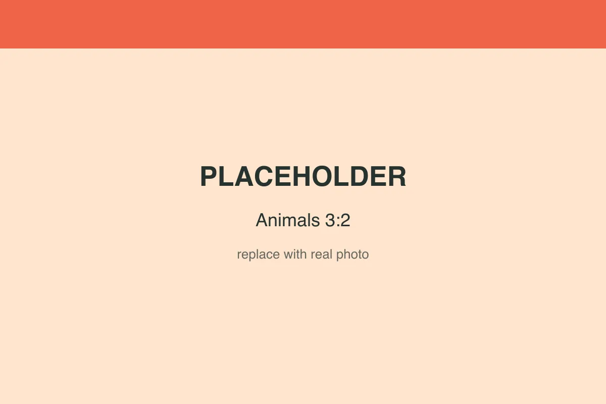 Placeholder image — replace with a real photo of the animals.