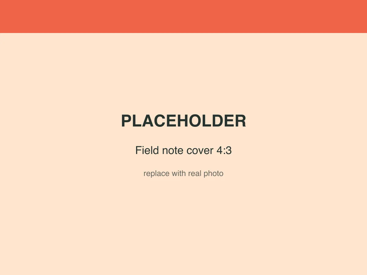 Placeholder image — replace with a real photo of the duck house build.