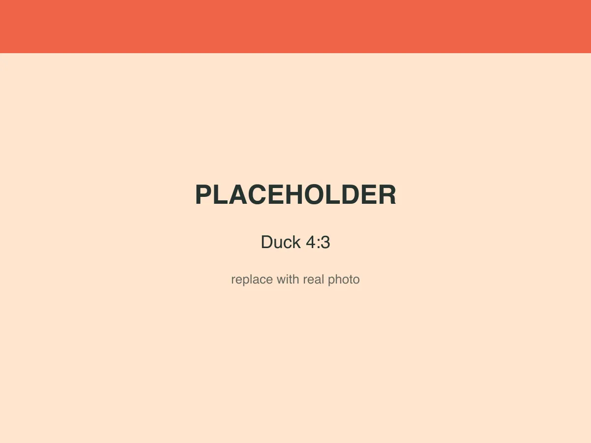 Placeholder image — replace with a real photo of the ducks.